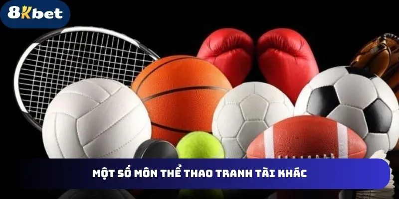 Các môn thể thao tranh tài khác ở thể thao 8kbet