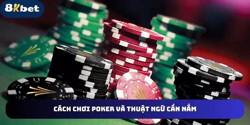 Cách chơi poker và thuật ngữ cần nắm