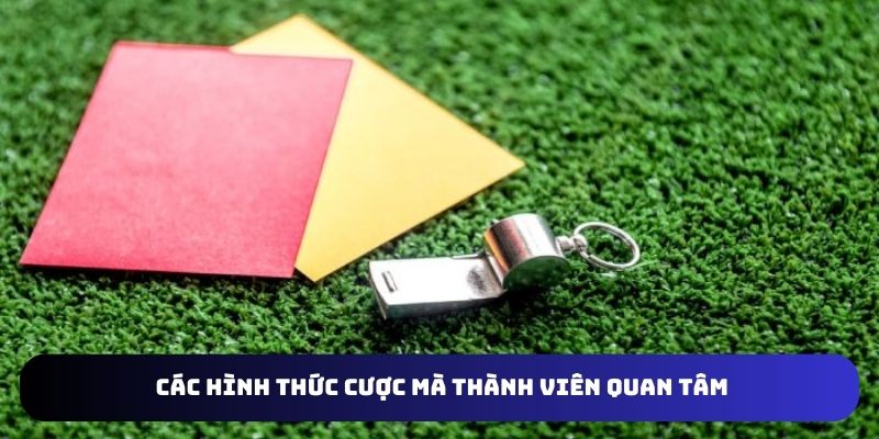 Giới thiệu các hình thức cược mà thành viên quan tâm